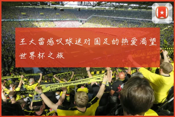 王大雷感叹球迷对国足的热爱渴望世界杯之旅