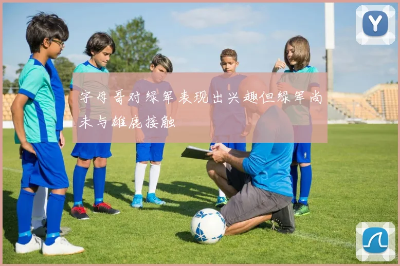 字母哥对绿军表现出兴趣但绿军尚未与雄鹿接触