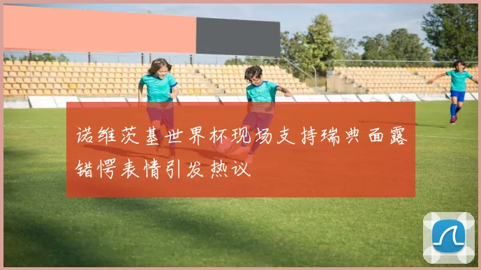诺维茨基世界杯现场支持瑞典面露错愕表情引发热议