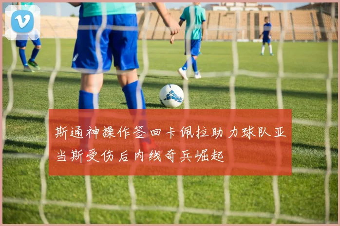 斯通神操作签回卡佩拉助力球队亚当斯受伤后内线奇兵崛起